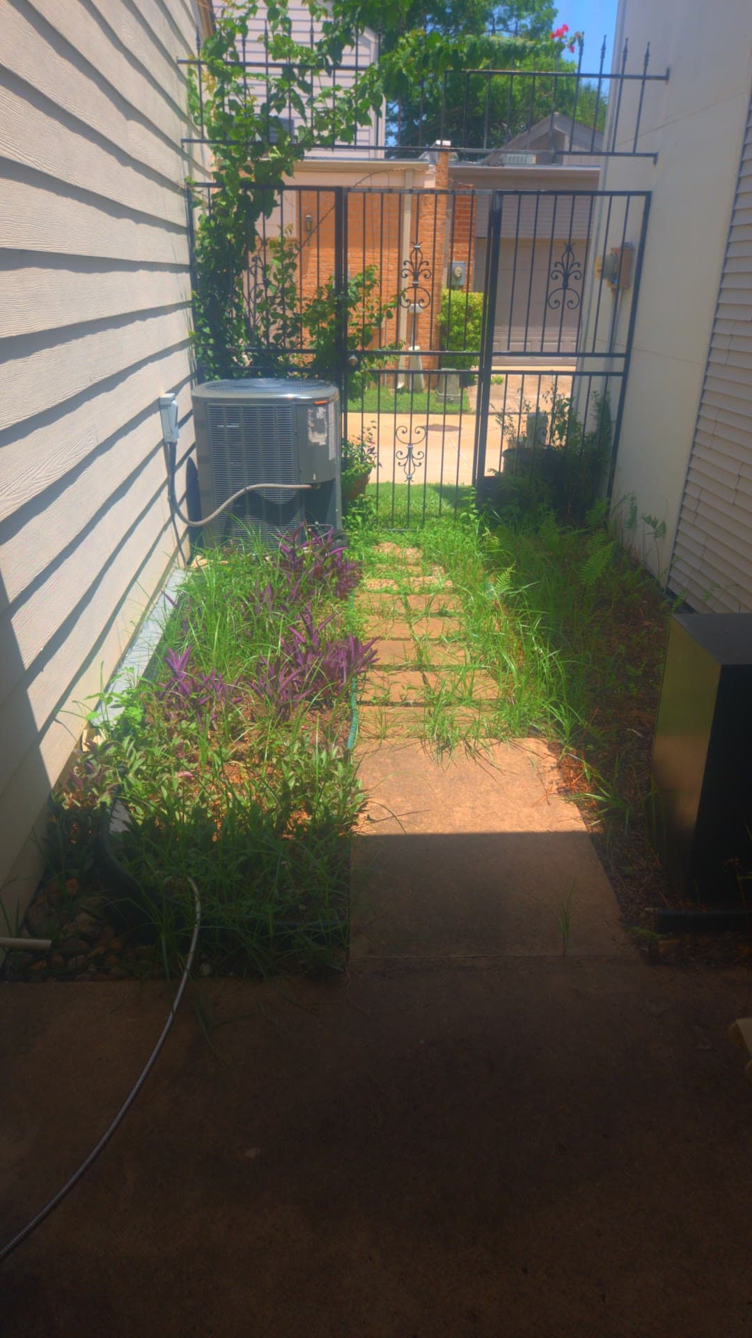 The side entry walkway overgrown with weeds the day we took the keys
